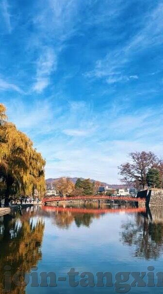 2021国产麻豆剧果冻传媒入口-解锁秘境，2021年国产麻豆剧的惊喜解锁与果冻传媒的多样化探索