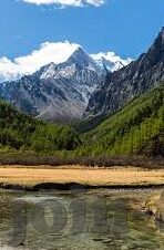 果冻传媒91杨柳在线-探索果冻传媒91杨柳在线的多元魅力