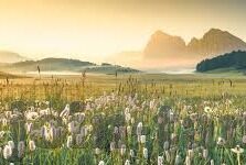 果冻传媒在线-探索果冻传媒在线，数字时代的创意与互动新篇章