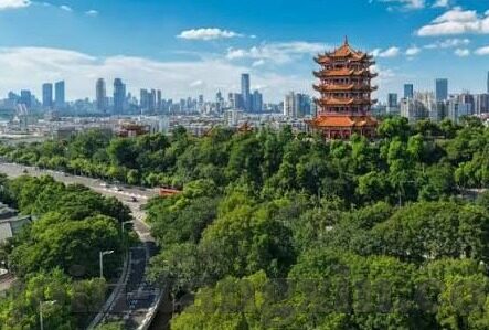 久久精品国产亚洲av麻豆网站-探索国产影视新视界，深入解析一段不同寻常的观影经
