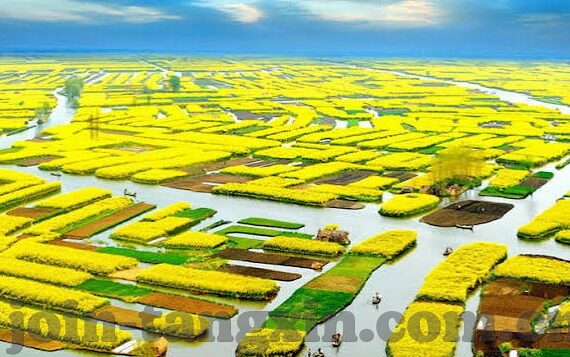 麻豆才视频下载网站-网络多元与内容选择的反思性窥探