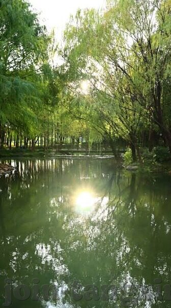 麻豆传媒视频入口-麻豆传媒，探寻创意视频内容的无限可能