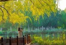 糖心视频app下载网页-探寻多媒体娱乐新境——糖心视频应用探索指南