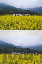 糖心vlog会员二维码-解锁甜蜜视角，糖心Vlog会员体验之旅