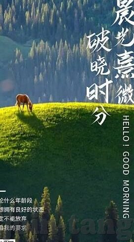 亚洲国产精品一区二区三区-探索亚洲文化多样性的独特视角，国产精品的魅力
